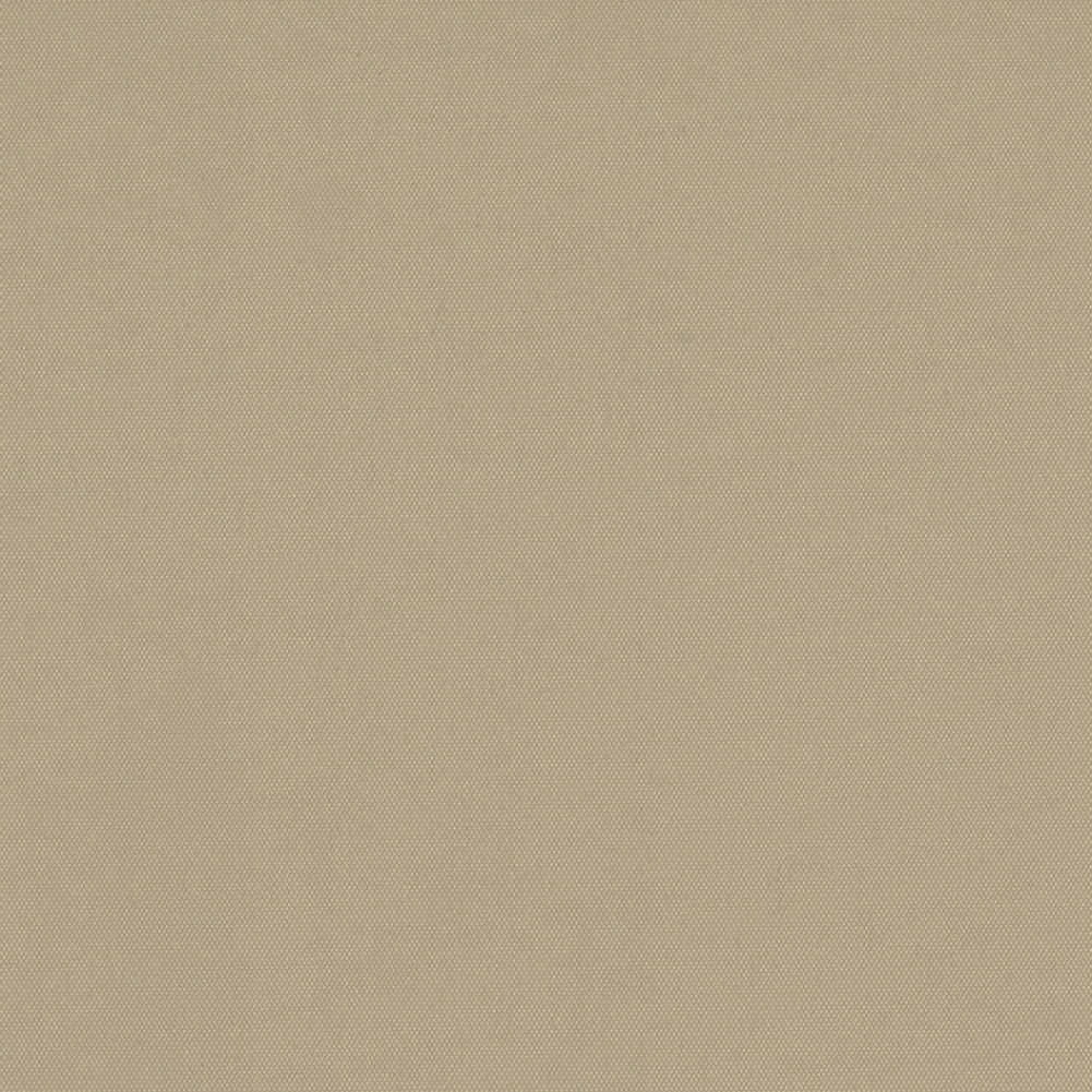 CARNIVAL BLACKOUT 2050