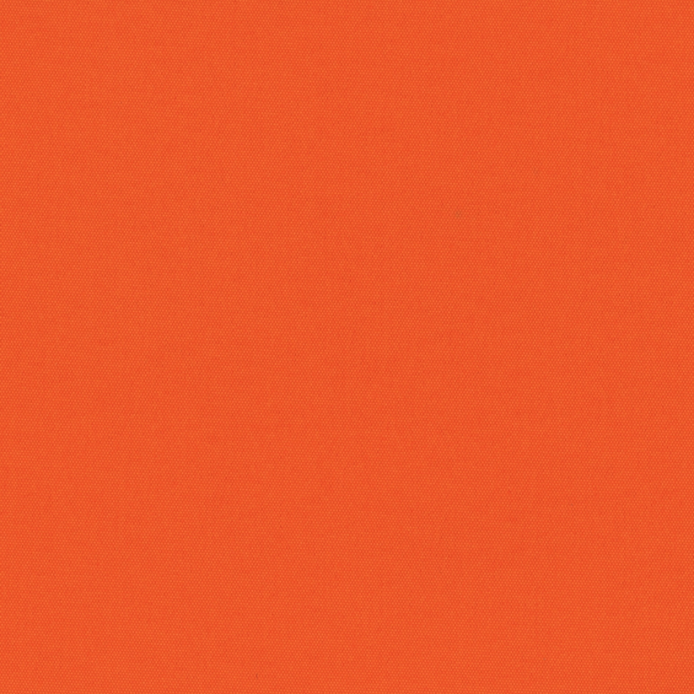 CARNIVAL BLACKOUT 89