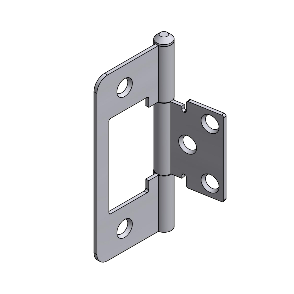 REMOVABLE HINGE