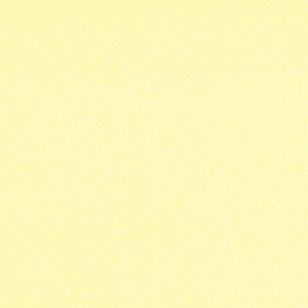 CARNIVAL BLACKOUT 2500