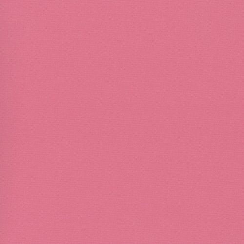 CARNIVAL BLACKOUT 2500