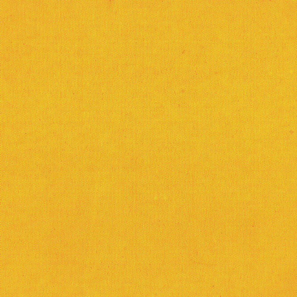 CARNIVAL BLACKOUT 89