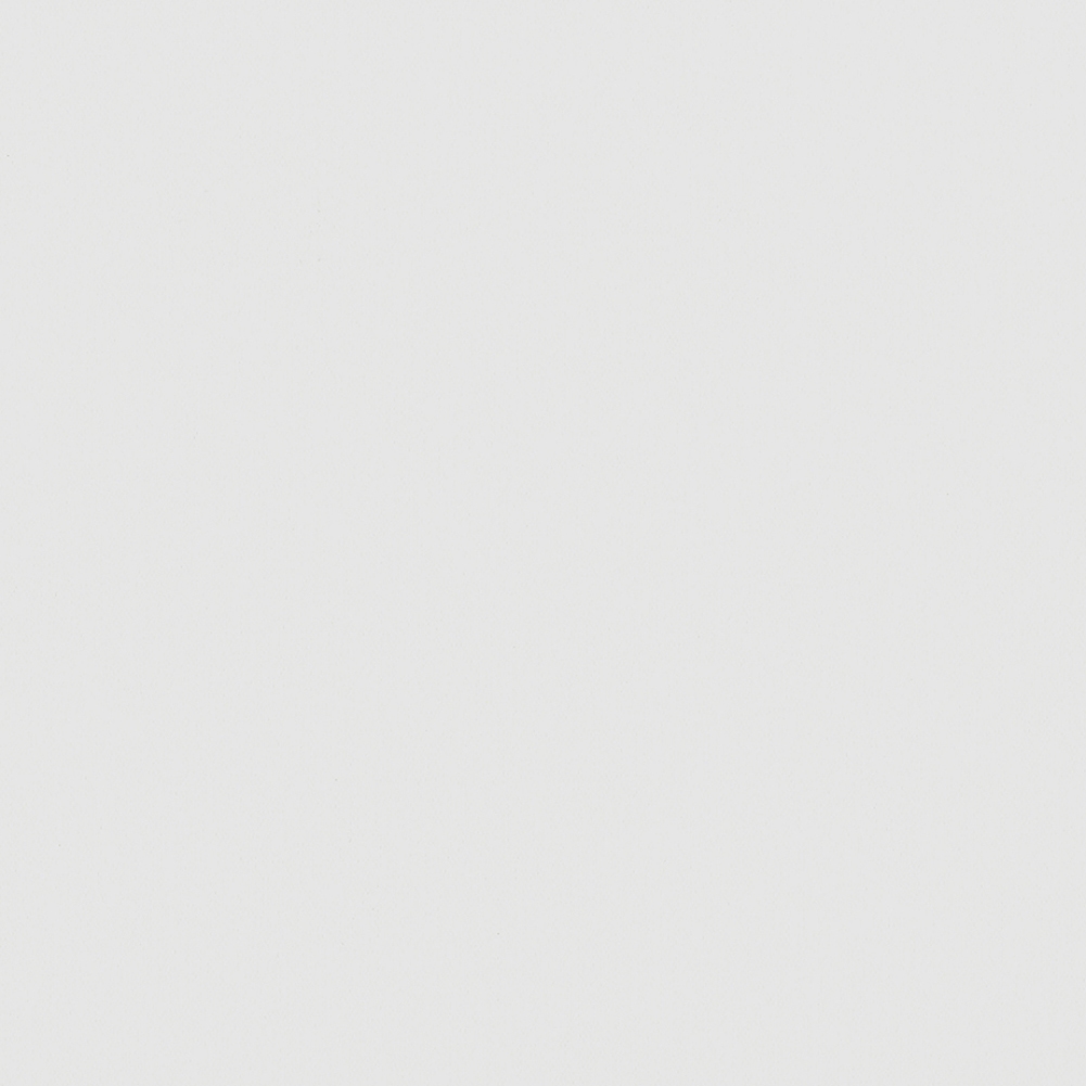 CARNIVAL BLACKOUT 2500