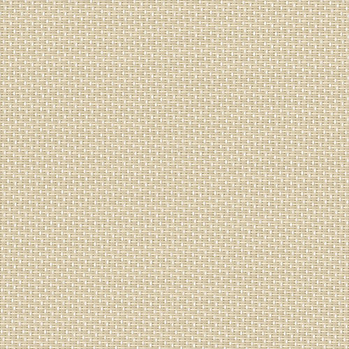 PERSPECTIVE WHITE BACK 3 2000