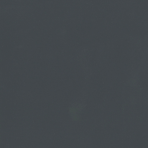 CARNIVAL BLACKOUT 2050